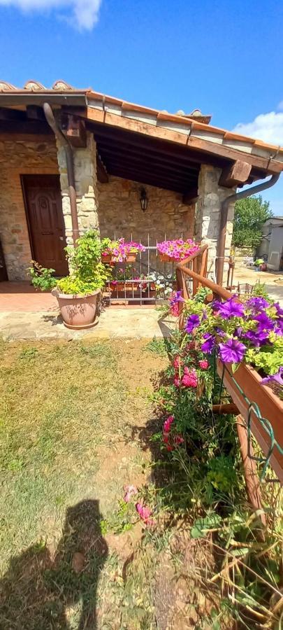 Agriturismo La Casina Saturnia Exterior photo